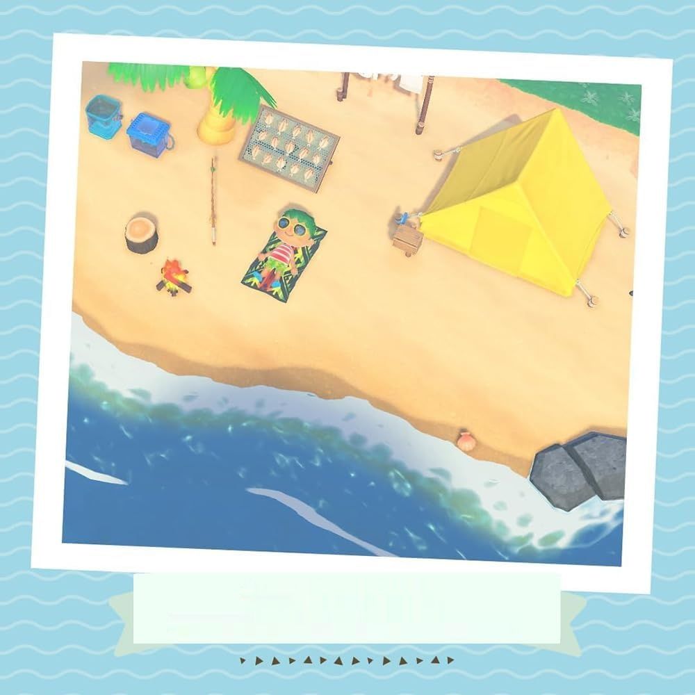 Animal Crossing: New Horizons – Gra wideo na Nintendo – Wydanie włosie