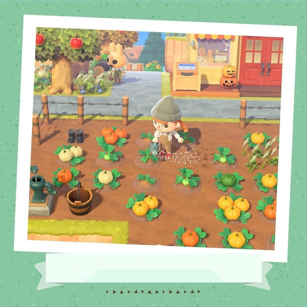 Animal Crossing: New Horizons – Gra wideo na Nintendo – Wydanie włosie