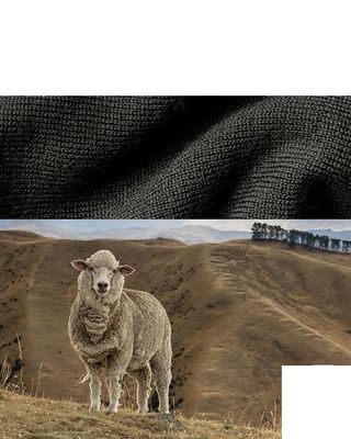 DANISH ENDURANCE Męskie legginsy termiczne z wełny merino