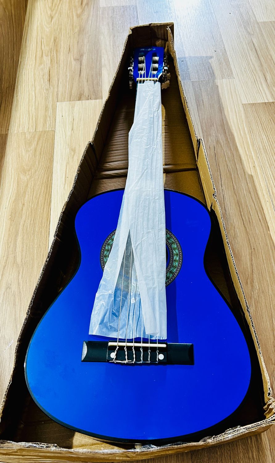 Music Alley dziecięca gitara akustyczna 1/2 z torbą i lekcjami, Niebieski