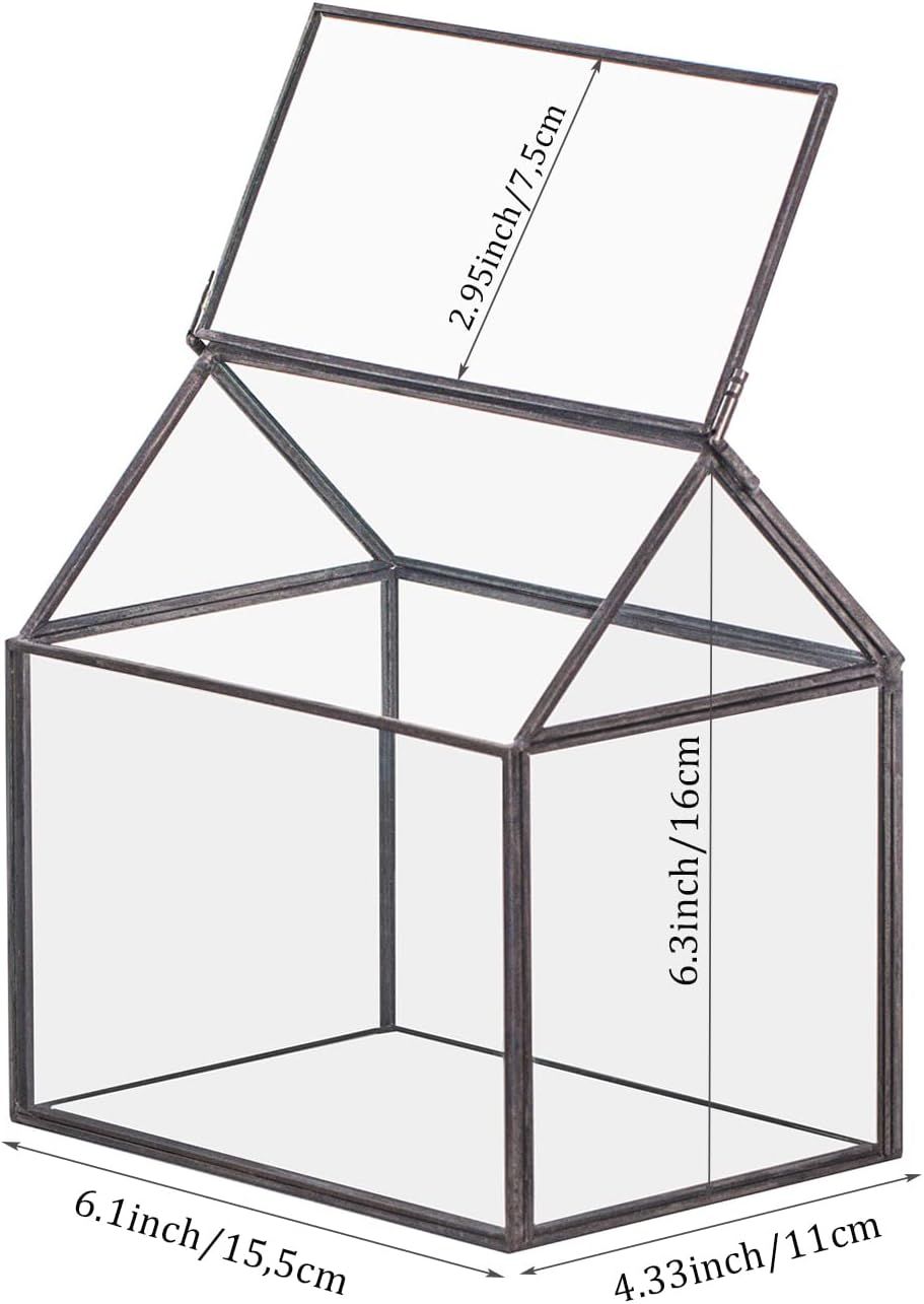 NCYP Małe czarne szklane terrarium z pokrywką, kształt domu – 15,5 x 11 x 16 cm