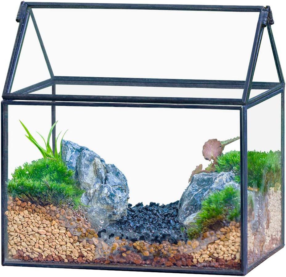 NCYP Małe czarne szklane terrarium z pokrywką, kształt domu – 15,5 x 11 x 16 cm