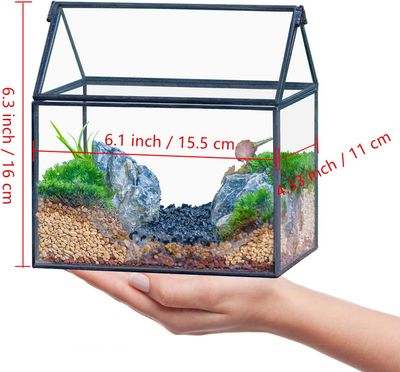 NCYP Małe czarne szklane terrarium z pokrywką, kształt domu – 15,5 x 11 x 16 cm