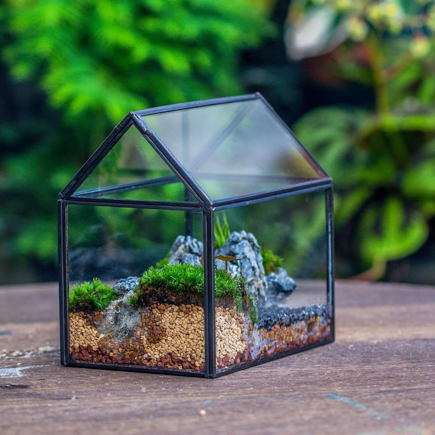 NCYP Małe czarne szklane terrarium z pokrywką, kształt domu – 15,5 x 11 x 16 cm