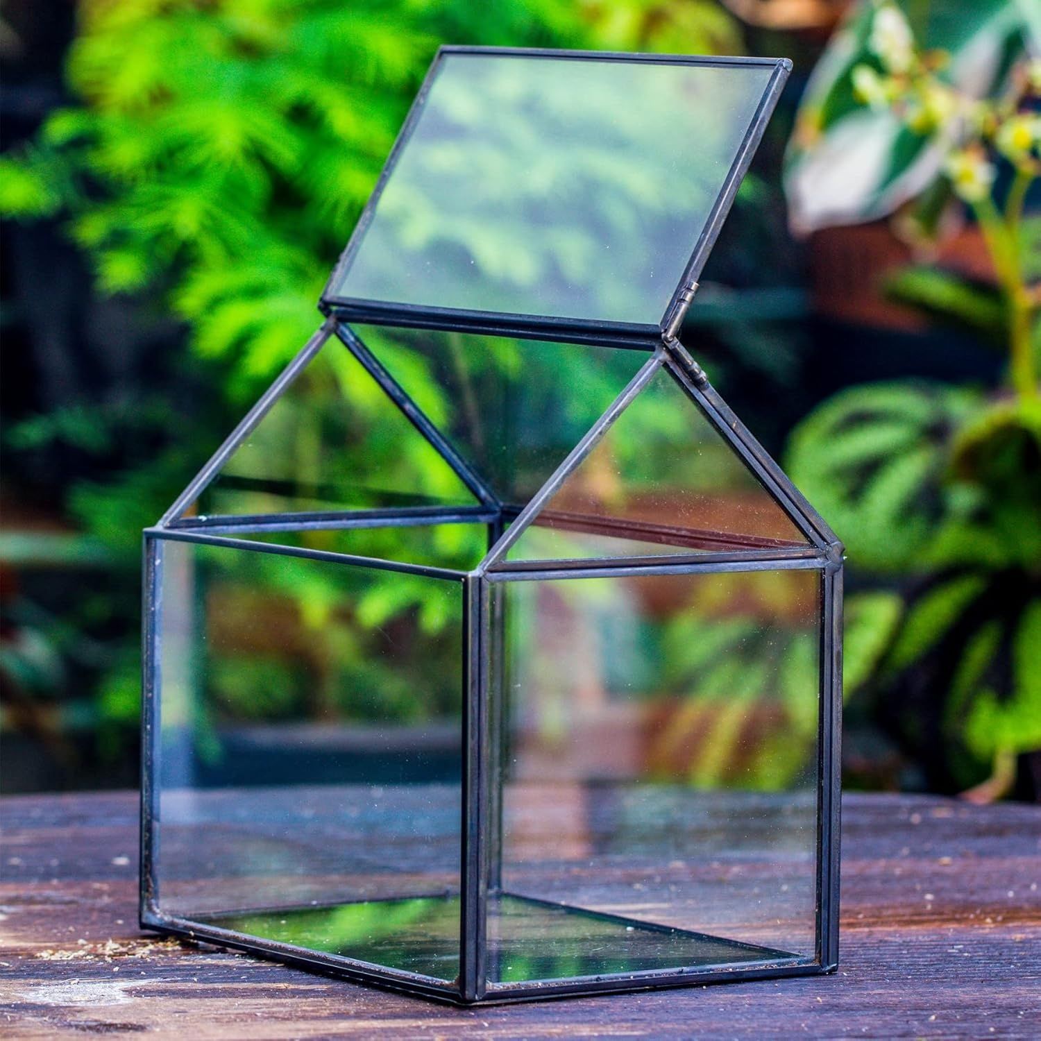 NCYP Małe czarne szklane terrarium z pokrywką, kształt domu – 15,5 x 11 x 16 cm