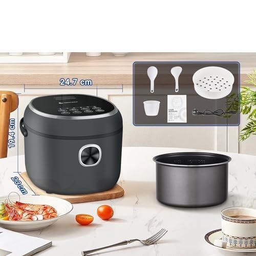 AMZCHEF Mini Cuiciriso 2L CE-DFB-P20H1-DG – wielofunkcyjny mini ryżowar 400 W