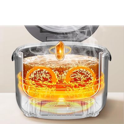 AMZCHEF Mini Cuiciriso 2L CE-DFB-P20H1-DG – wielofunkcyjny mini ryżowar 400 W
