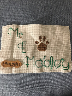 4*6 Cross Stitching Teacher Name