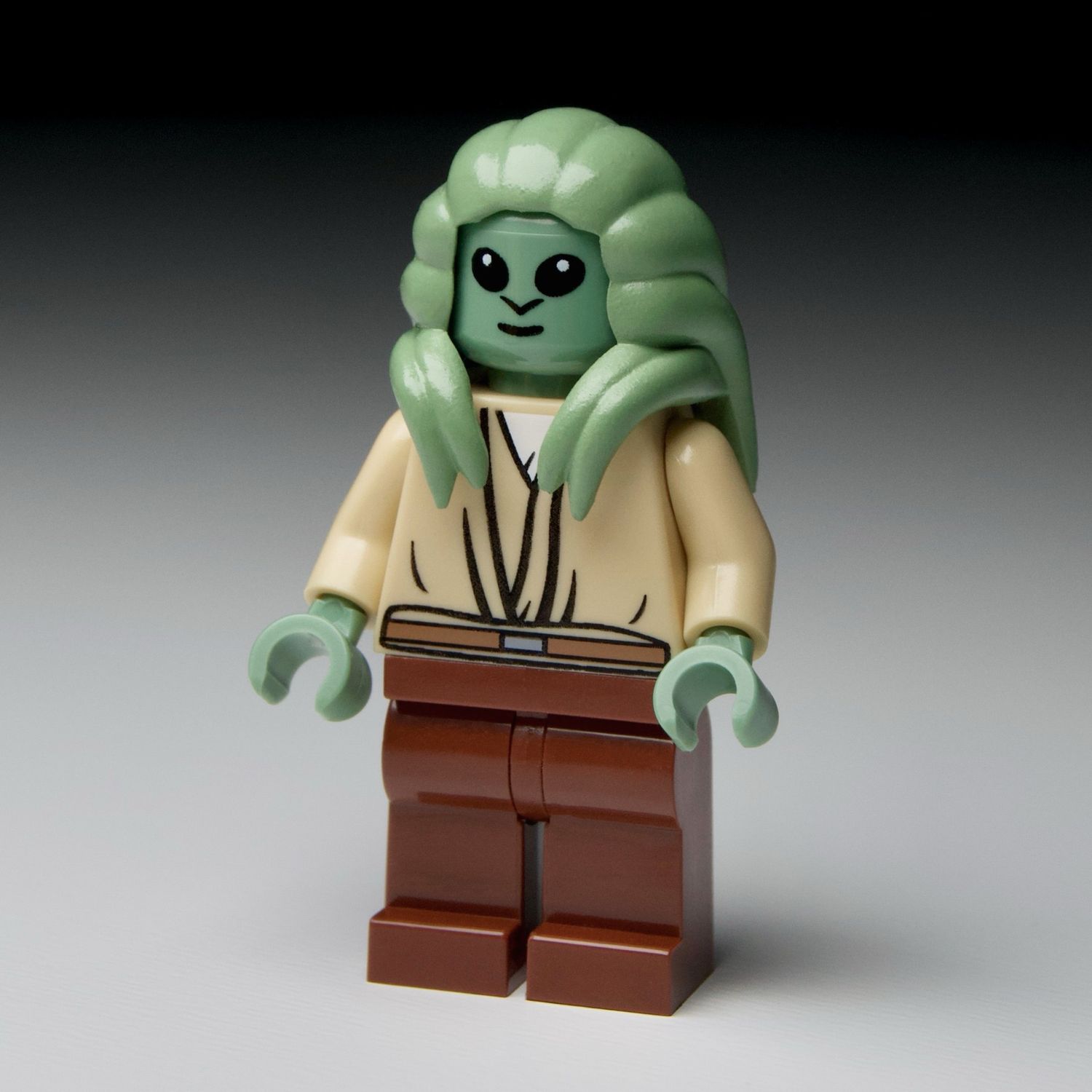 LEGO Star Wars LSW1 Fisto