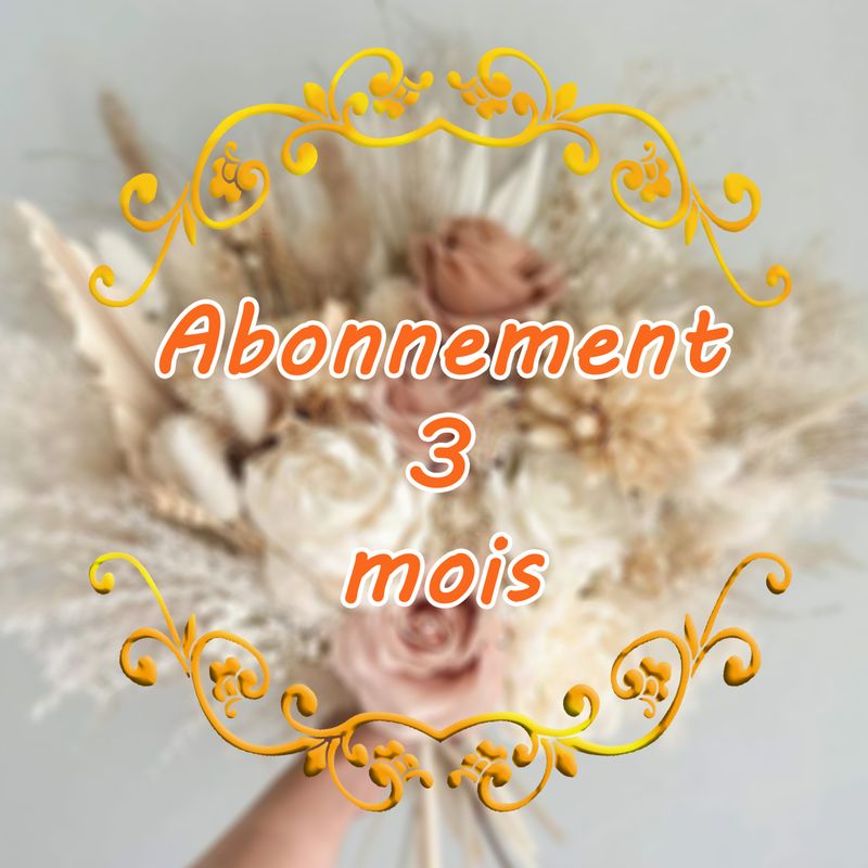 Abonnement de 3 mois