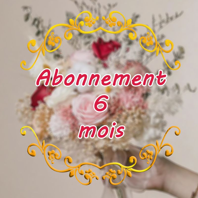 Abonnement de 6 mois