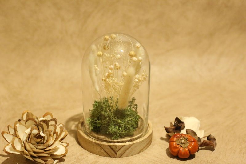 Petite cloche de fleurs séchées blanc