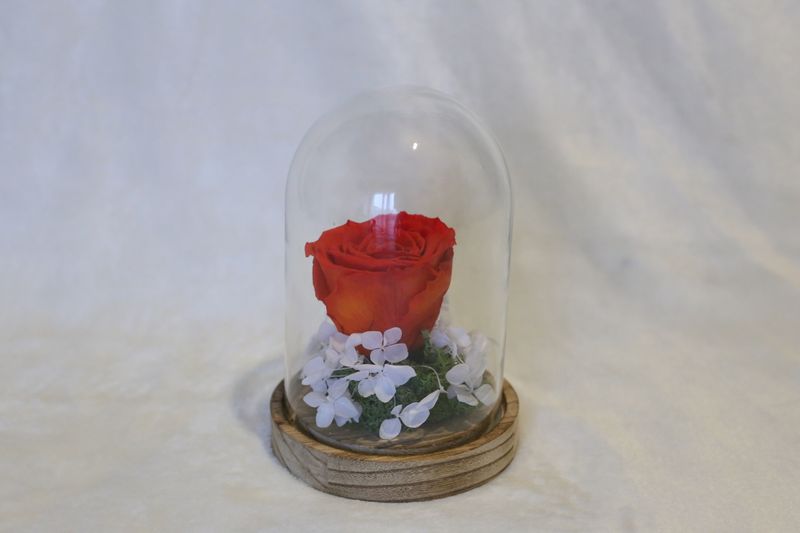 Petite cloche avec hortensia et rose rouge