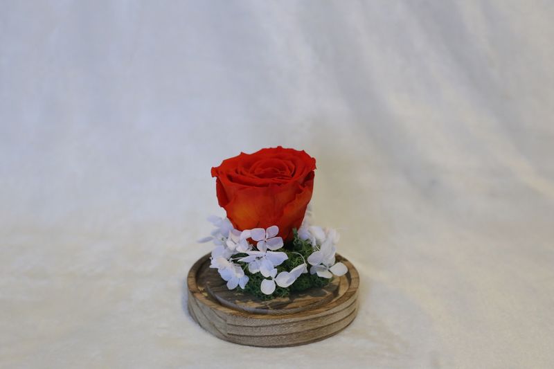Petite cloche avec hortensia et rose rouge