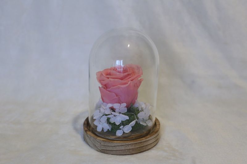 Petite cloche avec hortensia et rose rose