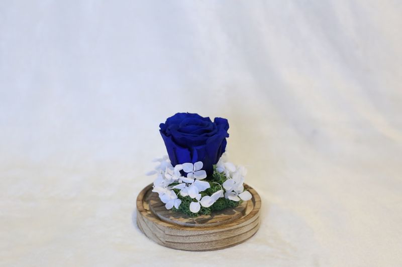 Petite cloche avec hortensia et rose bleu