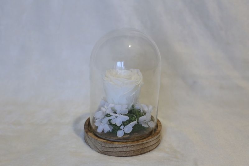 Petite cloche avec hortensia et rose blanche