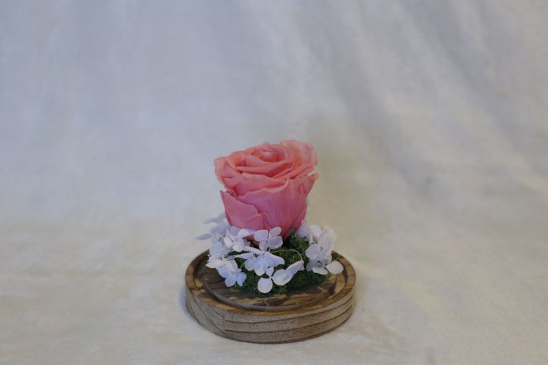 Petite cloche avec hortensia et rose rose