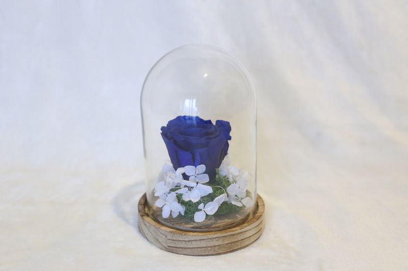 Petite cloche avec hortensia et rose bleu