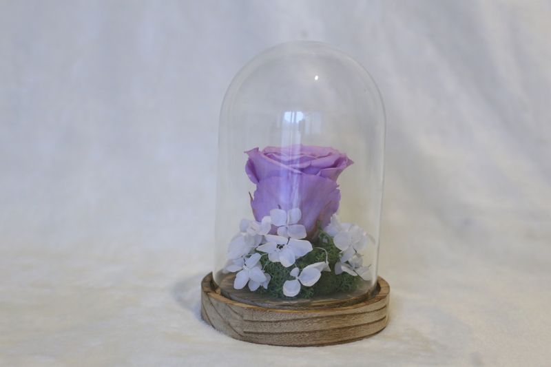 Petite cloche avec hortensia et rose parme