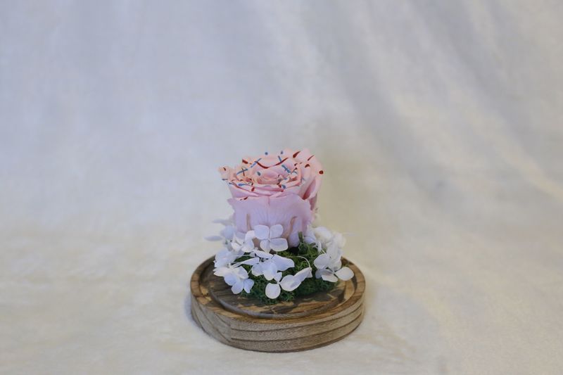 Petite cloche avec hortensia et rose rose et peinte