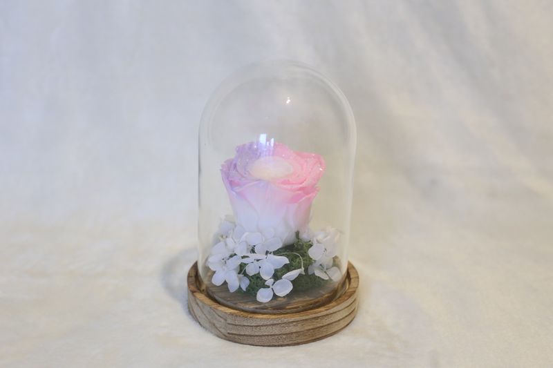 Petite cloche avec hortensia et rose rose et violette avec paillette