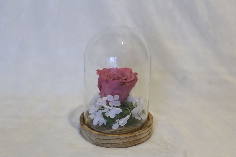Petite cloche avec hortensia et rose violine
