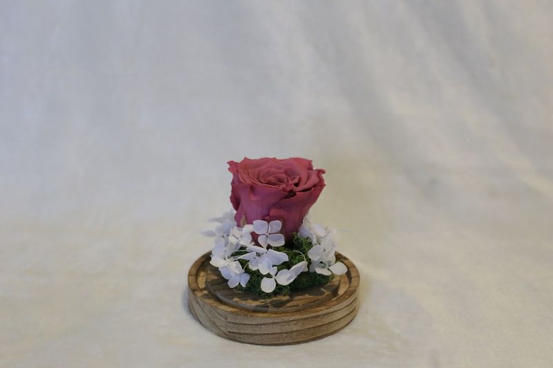 Petite cloche avec hortensia et rose violine