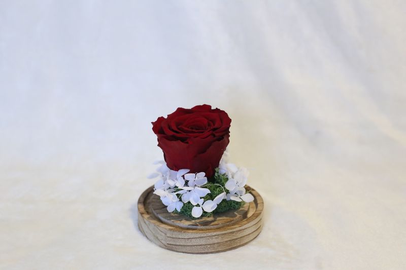 Petite cloche avec hortensia et rose grenat