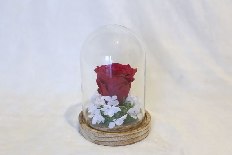 Petite cloche avec hortensia et rose bordeaux