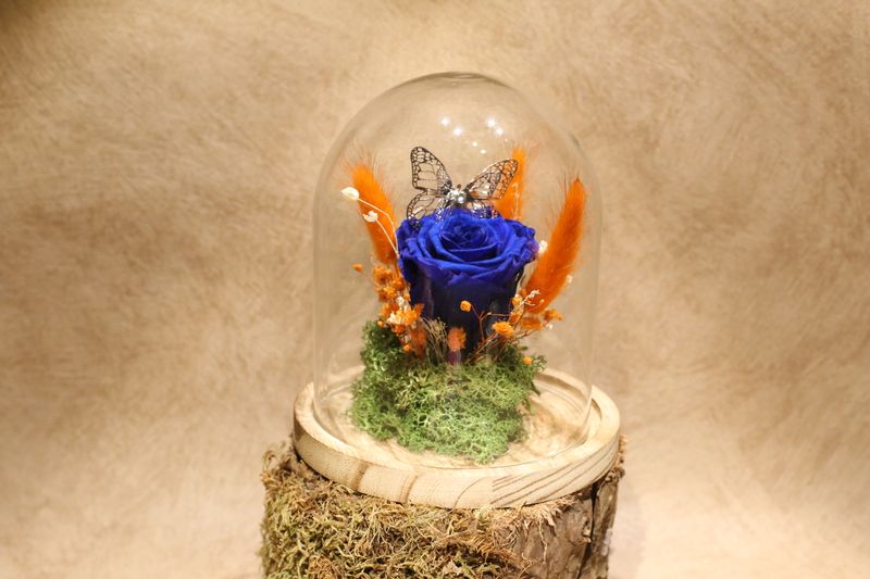 Petite cloche personnalisée avec fleurs séchées oranges + 1 rose éternelle