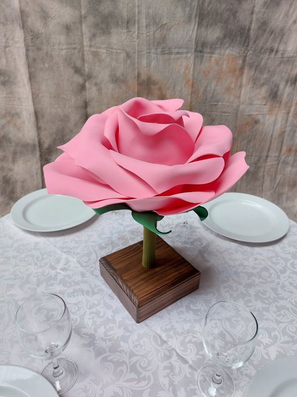 Rose 20 cm en pack avantage