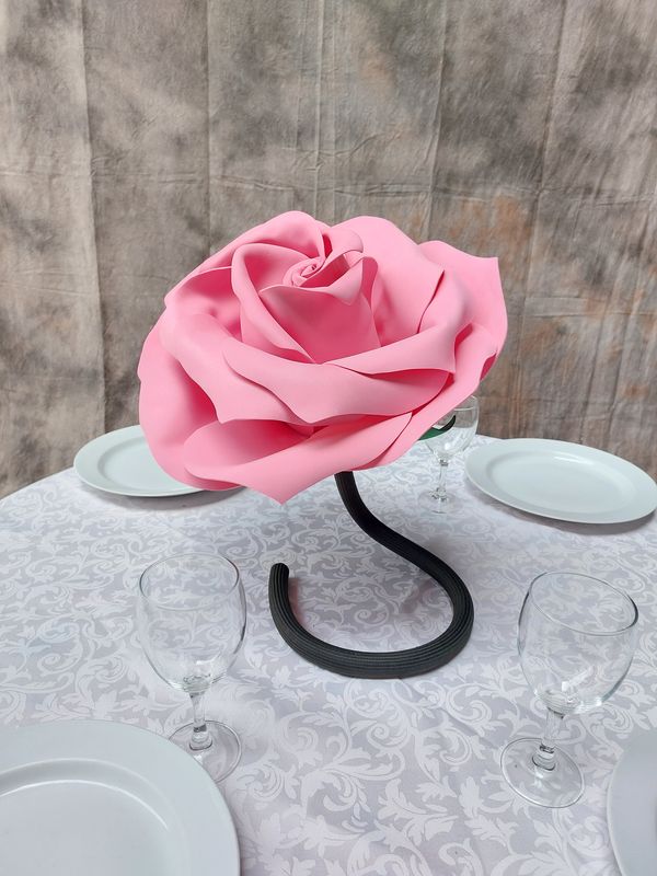 Rose 20 cm en pack avantage