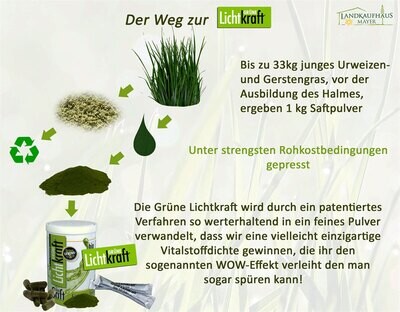 GrasSAFT-Pulver Bio 450 g Grüne Lichtkraft