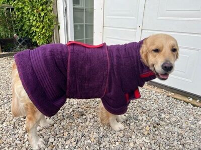 Luxury Dog Drying Coats for Golden Retriever