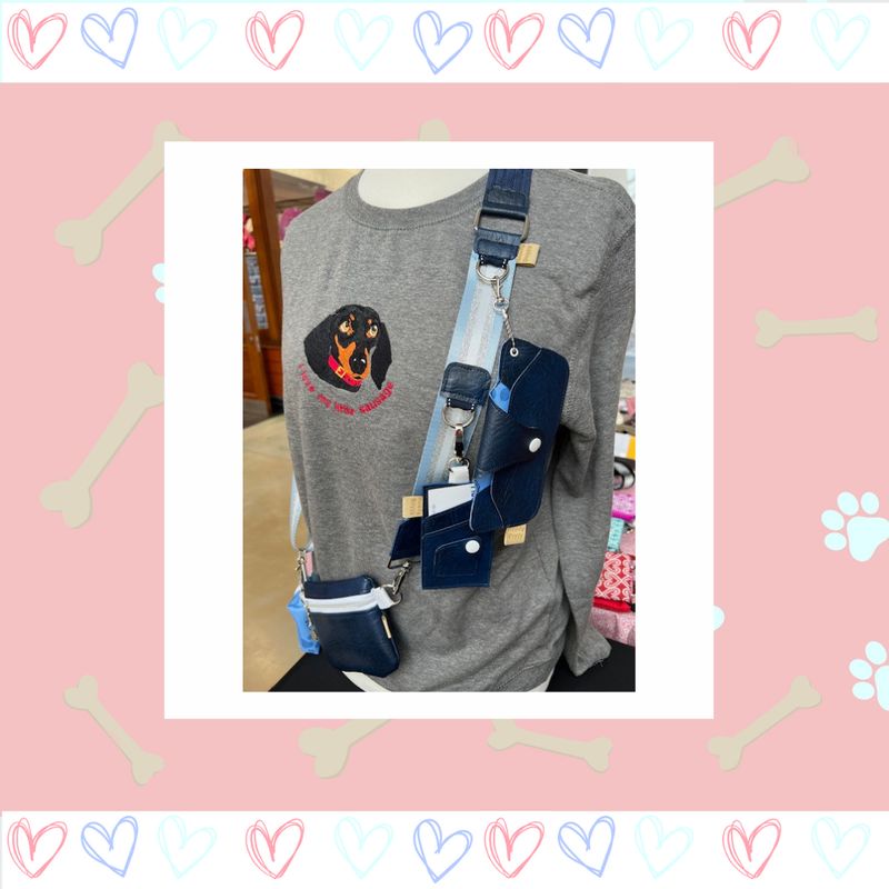 Dog Accessory Bag in Blue