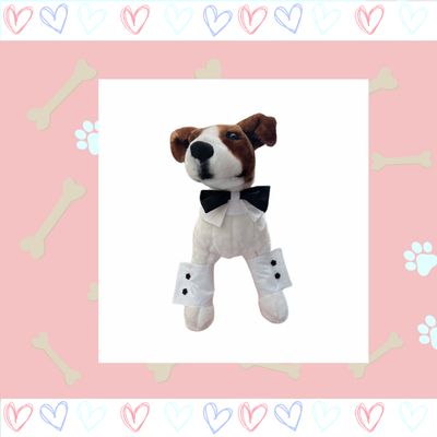 Wedding Item for your dog