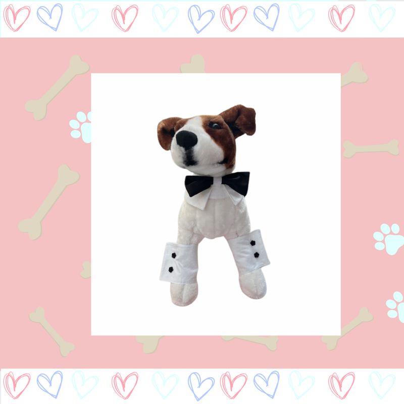 Wedding Item for your dog