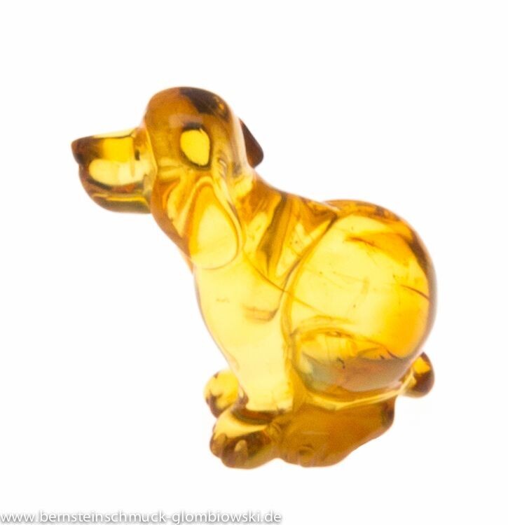 Bernstein Hund