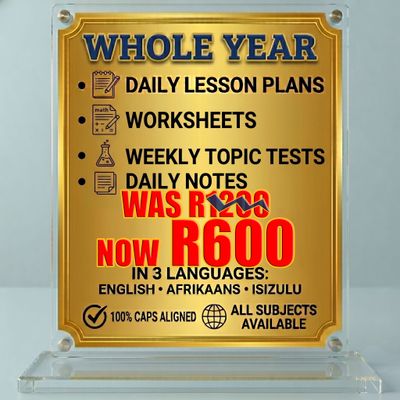 Lesson Plans + Worksheets &amp; Corrections + Weekly Test &amp; Memorandum + Notes for a Year