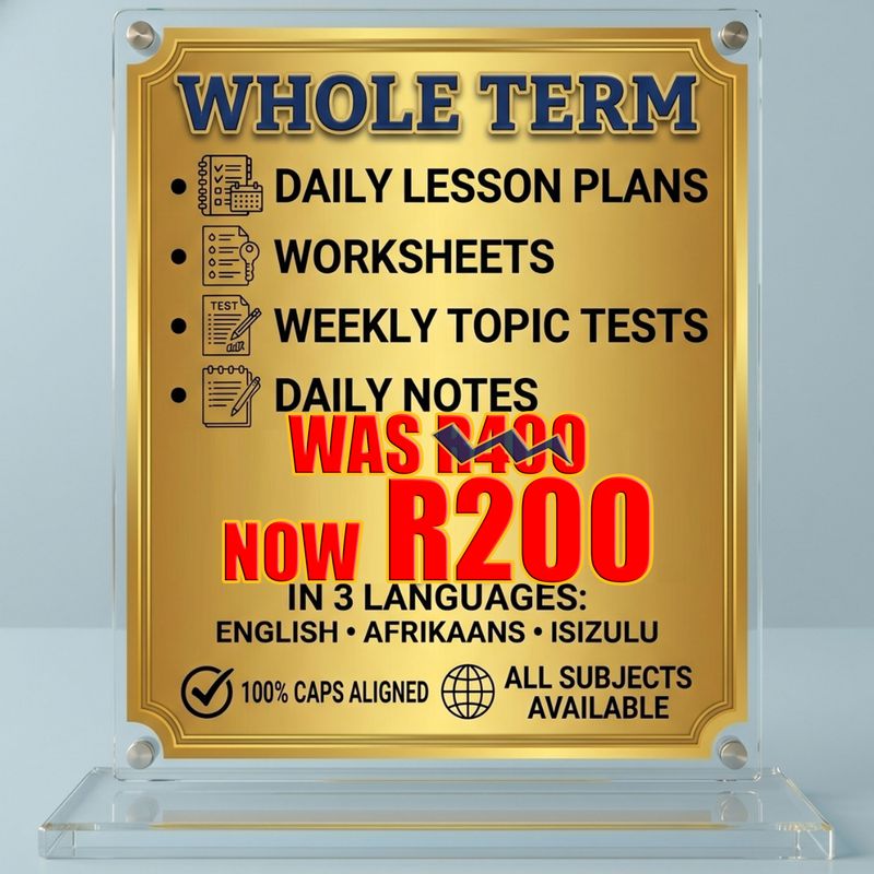 Lesson Plans + Worksheets &amp; Corrections + Weekly Test &amp; Memorandum + Notes for a Term