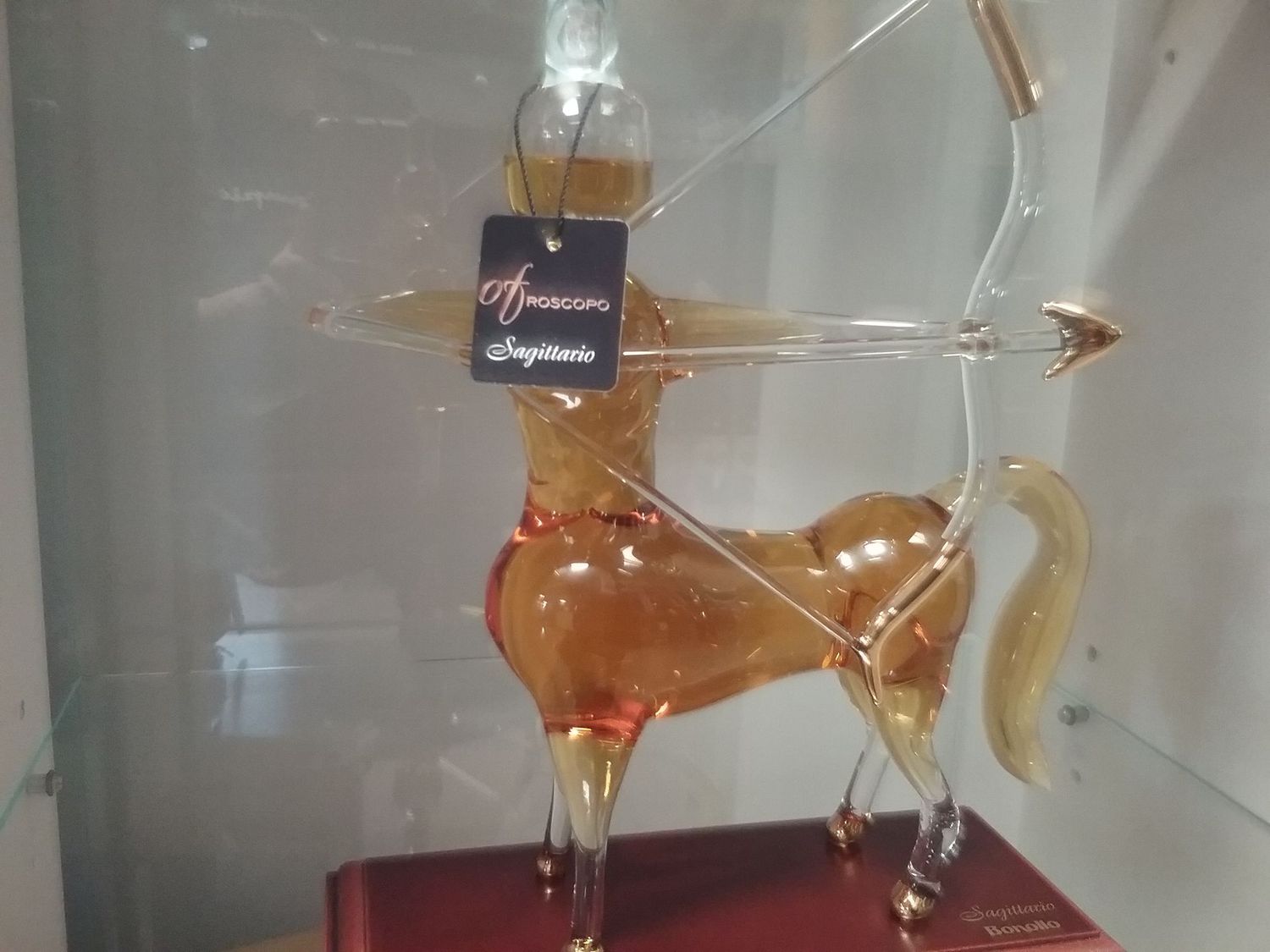 BONOLLO SEGNI ZODIACALI