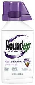 KILLER WEED-GRASS LIQ 35.2OZ