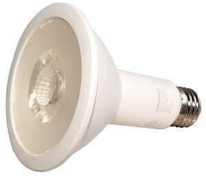 79280 LED 10YR 65W PAR30LN 3K