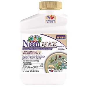 026 OIL NEEM COLD PRESSED PINT