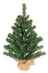 HOLIDAY TREE 18 INCH B&amp;B