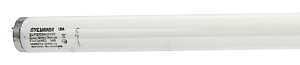 BULB LT FLUOR 40W DAYLT MED