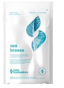 FRAGRANCE PAINT SEA BREEZE 1OZ