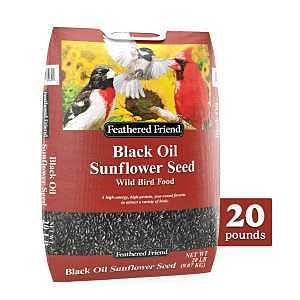14421 BLACK OIL SUNFLOWER 20LB