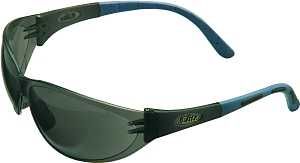 10038846 SAFETY GLASSES